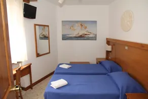Hotel Da Remo - Chambre