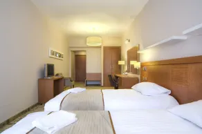 Cerkezkoy Business Hotel - Room