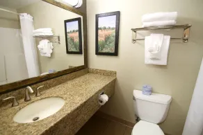 C'mon Inn & Suites Fargo - Bathroom
