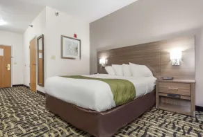 Quality Inn & Suites Omaha Chalco - Chambre