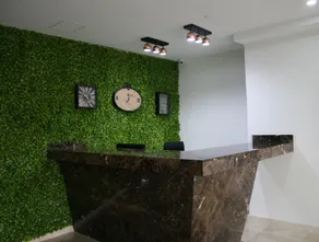 Hotel Madeiro - Reception