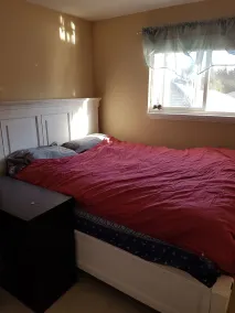 Berkshire Homestay - Room