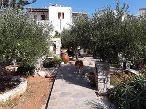 Sunset Studios & Apartments - Adults Only - Resepsjon