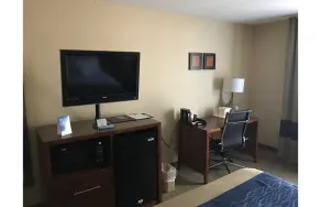 Comfort Inn Livingston - Rum