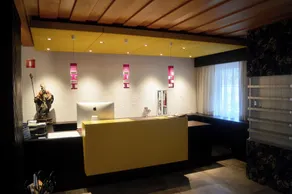 Hotel Weingarten - Reception