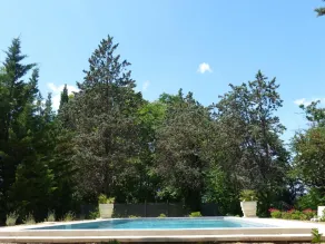Mas Moïse - Pool