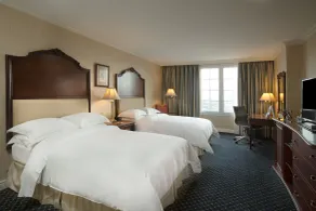 Barceló San Salvador - Room