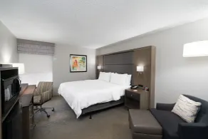 Holiday Inn Huntsville - Research Park by IHG - Chambre