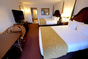 Crown Choice Inn & Suites Lakeview and Waterpark - Chambre