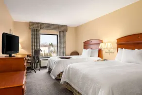 Hampton Inn Geneva - Chambre