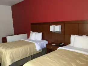 Quality Inn Zephyrhills-Dade City - Chambre