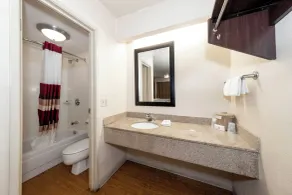 Red Roof Inn Chicago - Lansing - Badezimmer