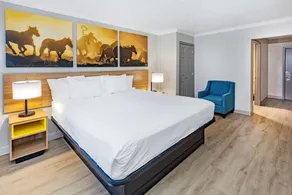 Days Inn by Wyndham Del Rio - Chambre