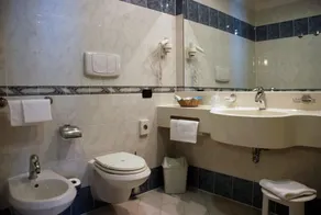 Point Hotel Conselve - Badrum