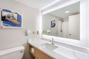 Best Western Plus Heritage Rail-South York/I-83 - Bathroom