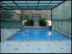 Pride Premier Chennai - Pool
