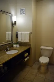 Holiday Inn Express & Suites Youngstown West - Austintown by IHG - Salle de bain