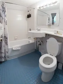 Acadia Pines Motel - Salle de bain