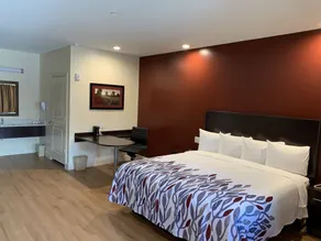 Red Roof Inn Houston - Willowbrook - Room