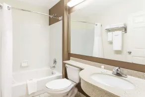Microtel Inn by Wyndham Wilson - Salle de bain