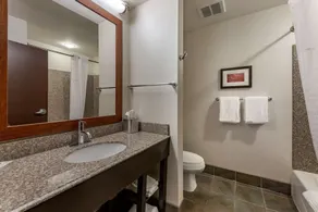 Comfort Suites Perrysburg - Toledo South - Chambre