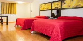 Hotel María Dolores San Luis Potosí - Chambre