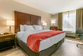 Comfort Inn & Suites Van Buren - Fort Smith - Rom
