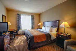 Comfort Inn & Suites Near Lake Lewisville - Værelse