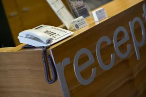 Hotel Des Alpes - Réception