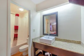Red Roof Inn Kalamazoo East – Expo Center - Baño