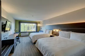 Holiday Inn Express & Suites - Auburn Downtown by IHG - Rum
