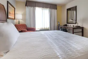 Hilton Garden Inn Devens Common - Room