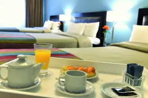 Rochester Hotel Classic - Room