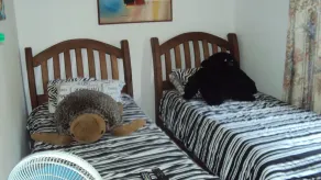 Beach House P.G - Hostel - Chambre