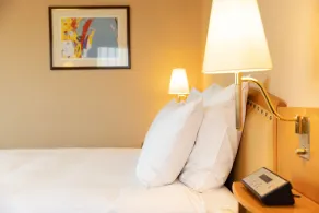 ANA Crowne Plaza Toyama by IHG - Chambre