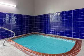 La Quinta by Wyndham Rockwall - Piscine