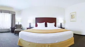 Holiday Inn Express & Suites Chicago West-O'Hare Arpt Area by IHG - Room