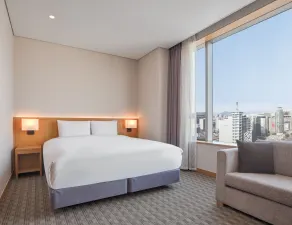Sotetsu Hotels The Splaisir Seoul Dongdaemun - Camera