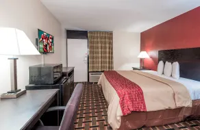 Red Roof Inn Mobile - Midtown - Zimmer