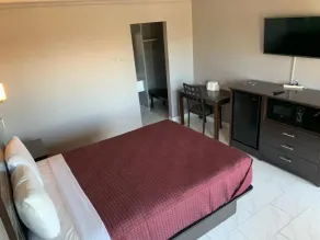 Executive Inn - Room