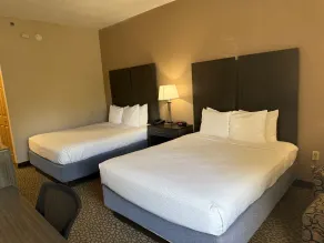 Comfort Inn & Suites Bradenton North I-75 - Værelse