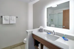 Holiday Inn Express & Suites El Paso - Sunland Park Area by IHG - Salle de bain