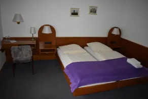 Hotel-Restaurant Theis-Muehle - Room
