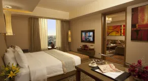 Radisson Blu Hotel, Nagpur - View from room