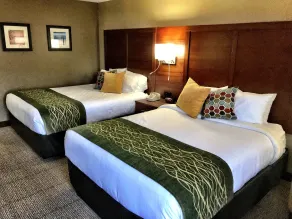 Comfort Inn, Erie - Near Presque Isle - Vue de la chambre