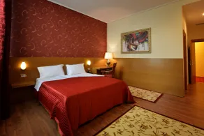 Hotel Austria - Chambre