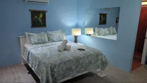 Peace of Paradise Breakfast Included Free Manuel Antonio Park Tour - Room