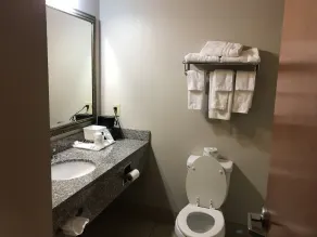 Econo Lodge Augusta West near Fort Gordon - Salle de bain