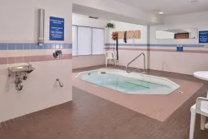 Americas Best Value Inn & Suites-Birch Run - Piscine