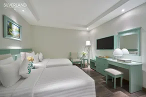 Silverland Sil Hotel - Room